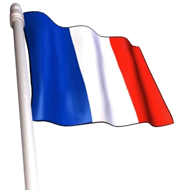 french_flag upright pole.jpg