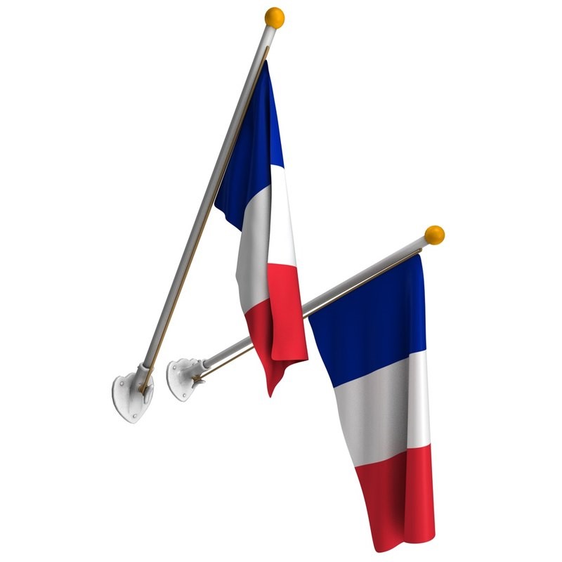 french flags on poles _2_.jpg