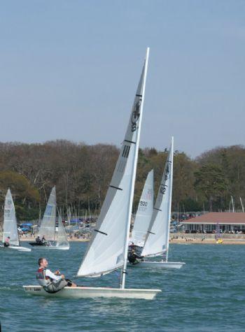 2007rooster81_weston